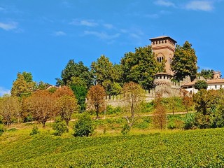 Sich verlieren und sich selbst finden (mit der Wein- und Geschmacksstraße des Gran Monferrato)