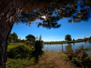 ADVENTURE AT THE ASTROBIOPARK  (FEAT. FOOD AND WINE ROAD OF GRAN MONFERRATO)