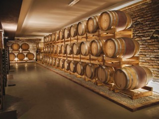 YOGA IN THE VINEYARD OR IN THE BARREL ROOM (FEAT. FOOD AND WINE ROAD OF GRAN MONFERRATO)