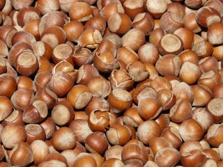 THE HAZELNUT WORKSHOP (FEAT. FOOD AND WINE ROAD OF GRAN MONFERRATO)