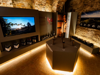 SORSI DI RUCHE' (feat. THE ROAD OF WINES AND FLAVOURS OF GRAN MONFERRATO)