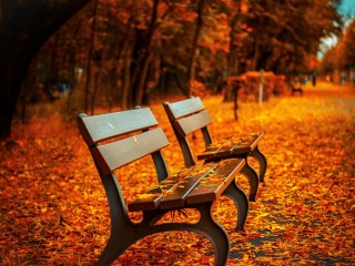 AUTUMN IN BRESCIA: COLORS, NATURE AND BEER