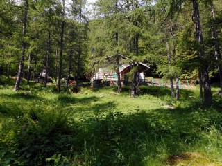 NEL CUORE DEL PARCO ORSIERA ROCCIAVRE' - TREKKING IN VAL DI SUSA