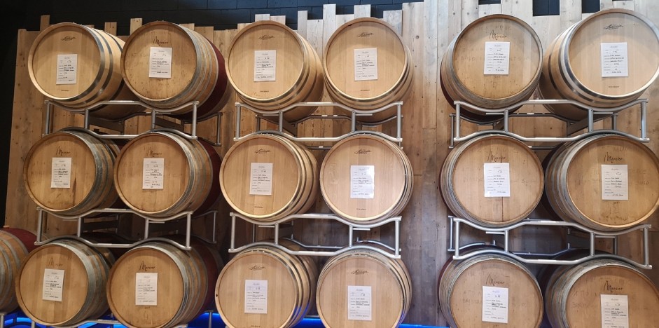CANTINE ACCOGLIENTI: ERKUNDUNGSTOUR DER WEINGÜTER – WEINTOURISMUS IN DER PROVINZ ALESSANDRIA - 2/4