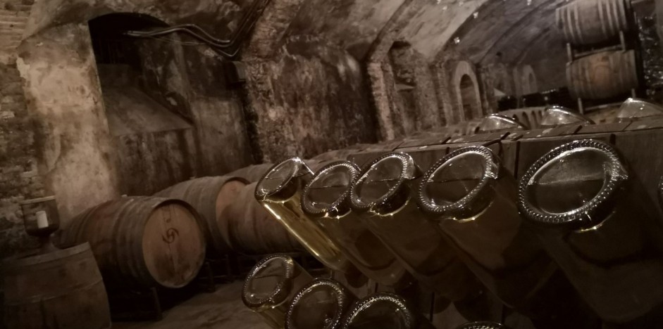 CANTINE ACCOGLIENTI: ERKUNDUNGSTOUR DER WEINGÜTER – WEINTOURISMUS IN DER PROVINZ ALESSANDRIA - 4/4
