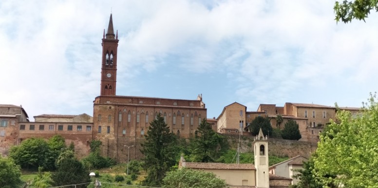„MonferVINUM – Weintrekking im Monferrato“