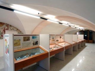 Museo Paleontologico 